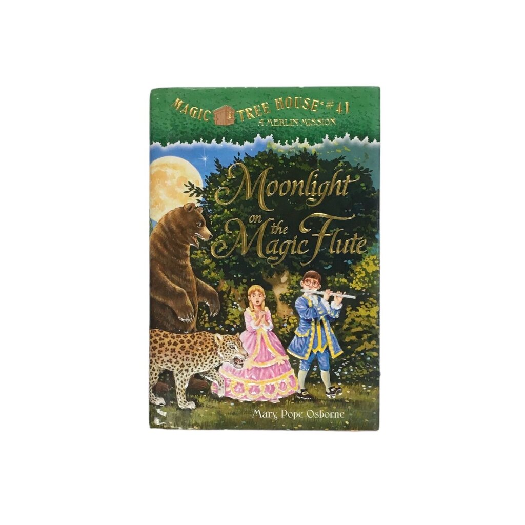 Magic Tree House #41, Book