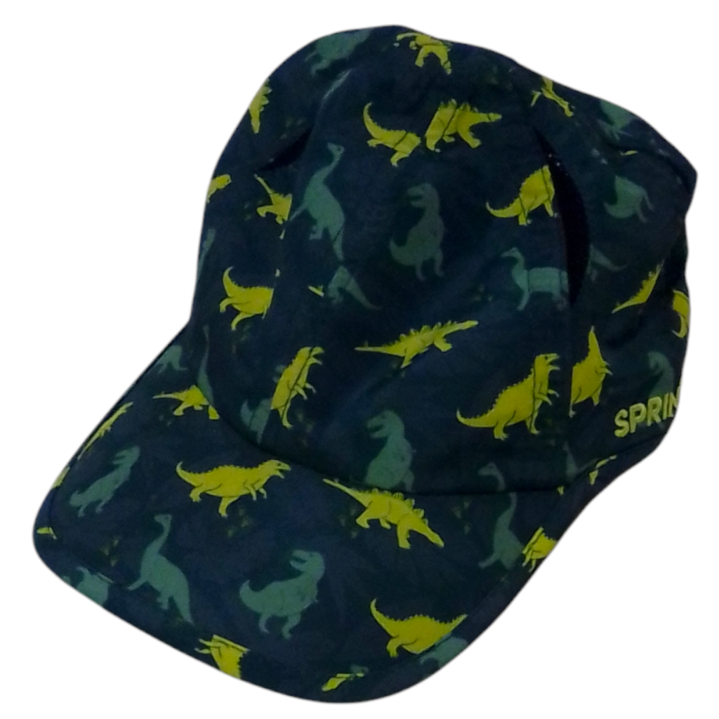 Hat: Dinosaurs, Boy, Size: One Size