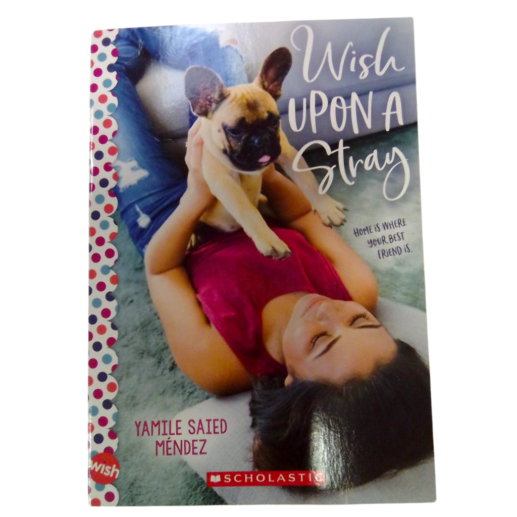 Wish Upon A Stray, Book