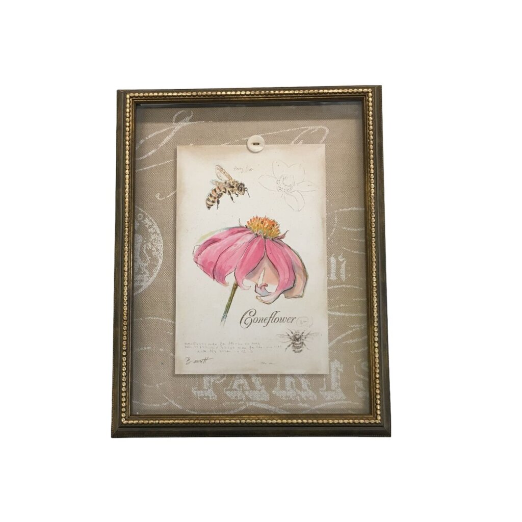 Picture: Coneflower, Gear