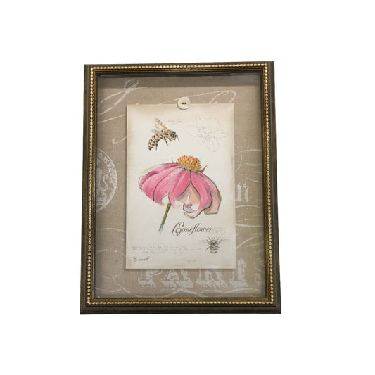 Picture: Coneflower, Gear