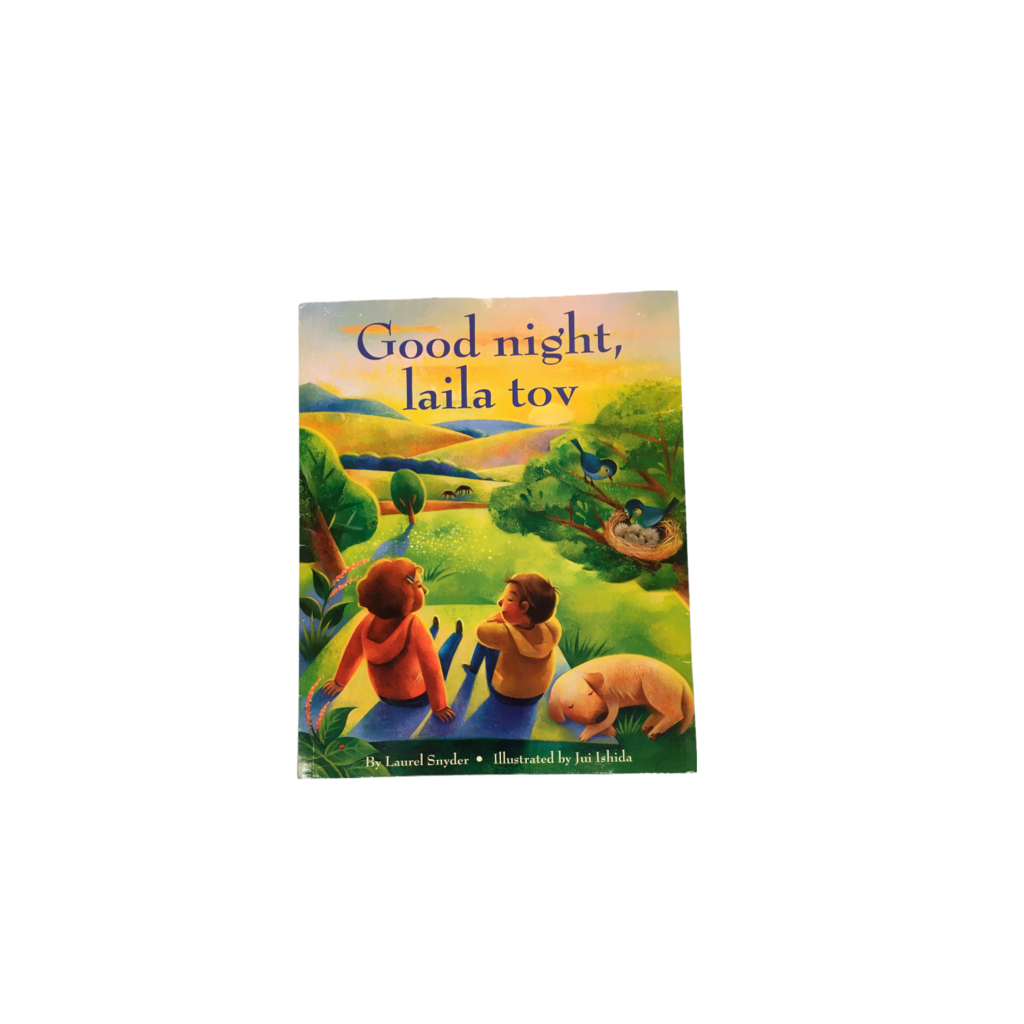 Good Night Laila Tov (Jew, Book
