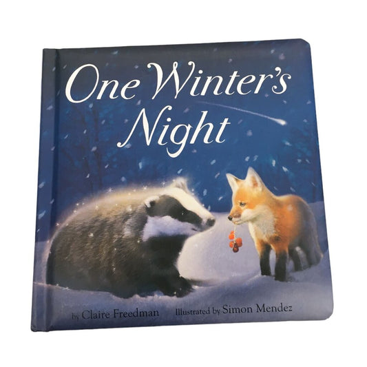 One Winters Night, Book