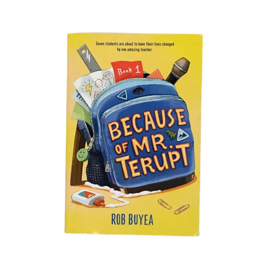 Because Of Mr Terupt, Book