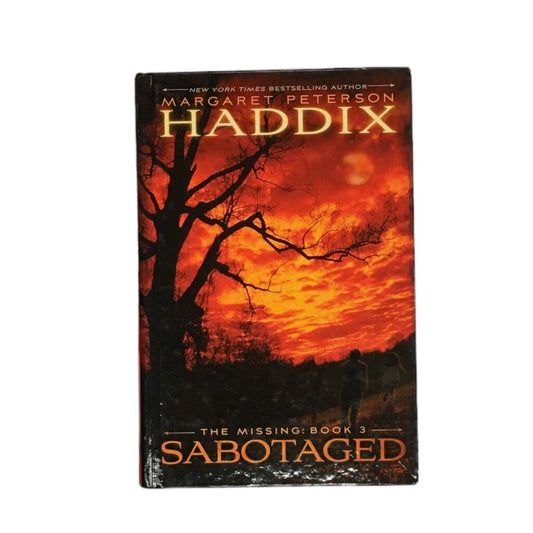 The Missing #3, Book