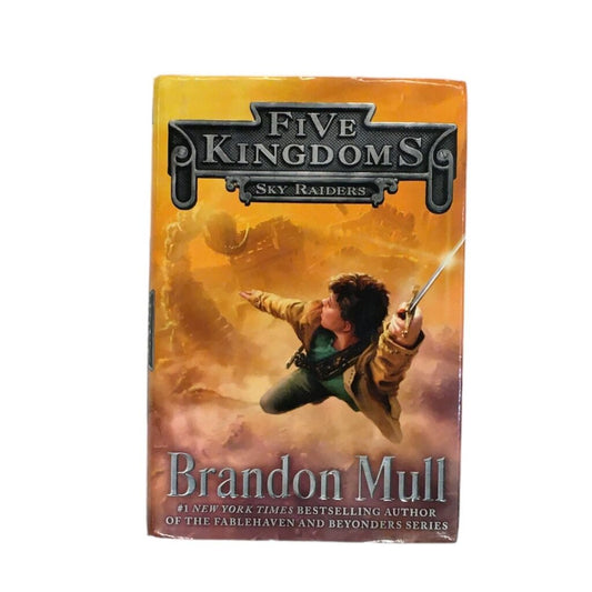 Five Kingdoms Sky Raiders, Book