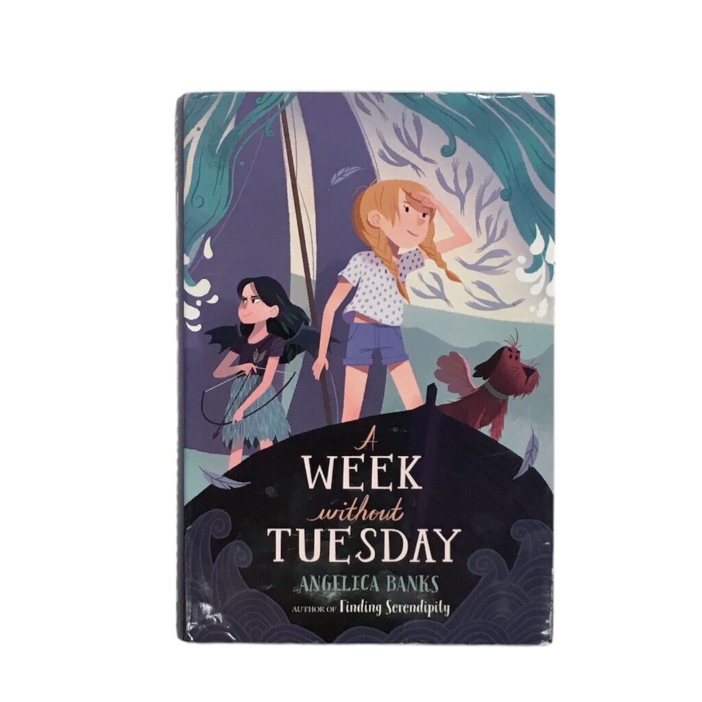 A Week Without Tuesday, Book