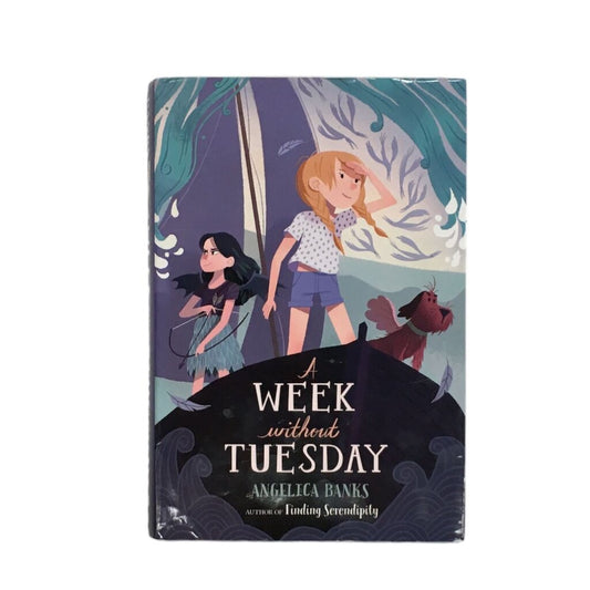 A Week Without Tuesday, Book