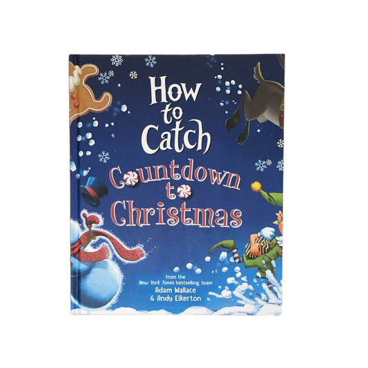 How To Catch Countdown To Christmas, Book