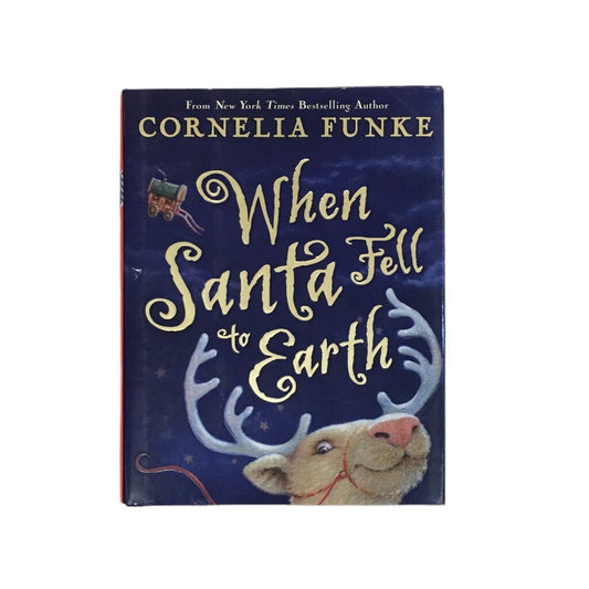 When Santa Fell To Earth, Book