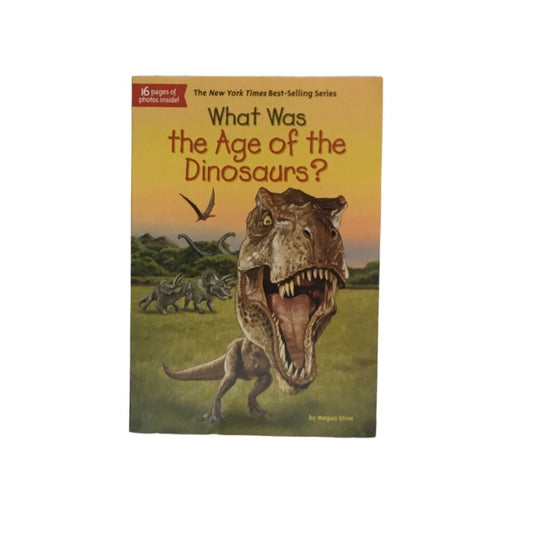 What Was The Age Of The Dinosaurs?, Book