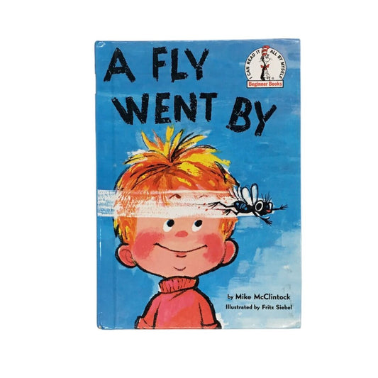 A Fly Went By, Book