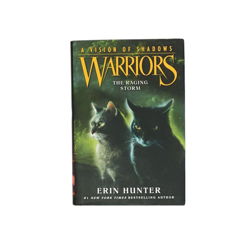 Warriors #6 The Raging Storm, Book