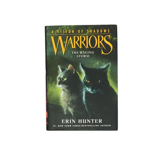 Warriors #6 The Raging Storm, Book