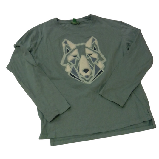 Teal With Wolf, Boy, Size: 12/14