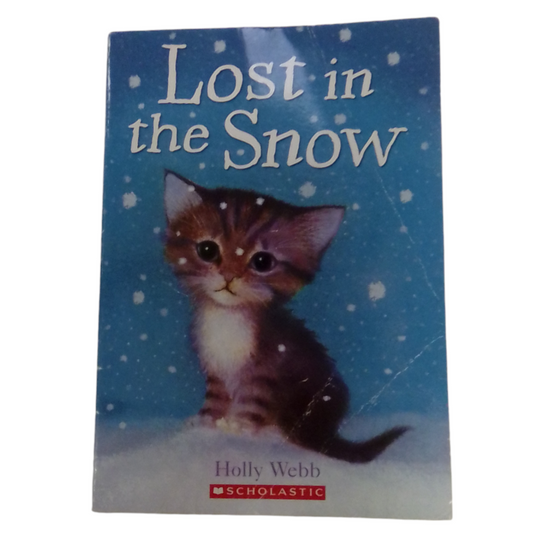 Lost In The Snow, Book