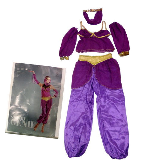 Costume: Genie, Womens, Size: L