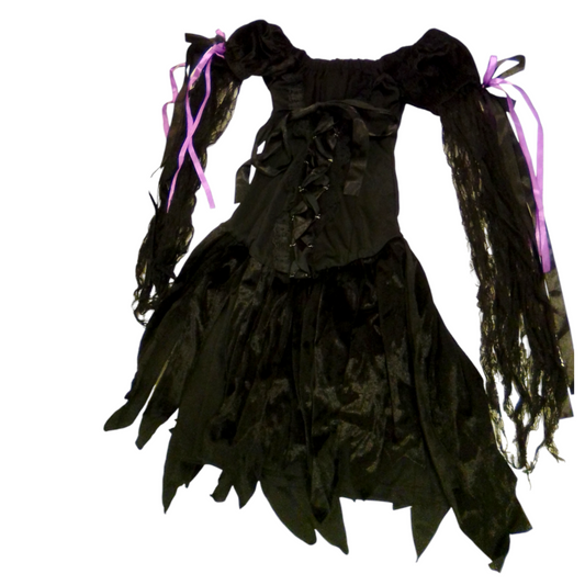Costume: Dark Fairy, Womens, Size: S
