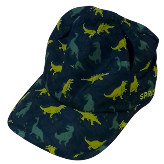 Hat: Dinosaurs, Boy, Size: One Size