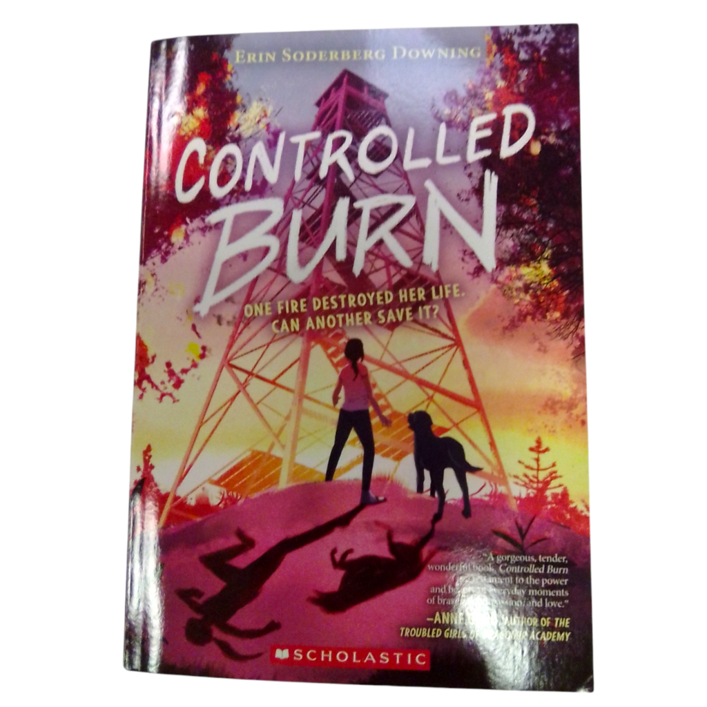 Controlled Burn, Book