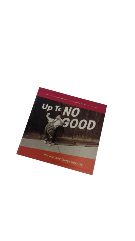 Up To No Good, Book