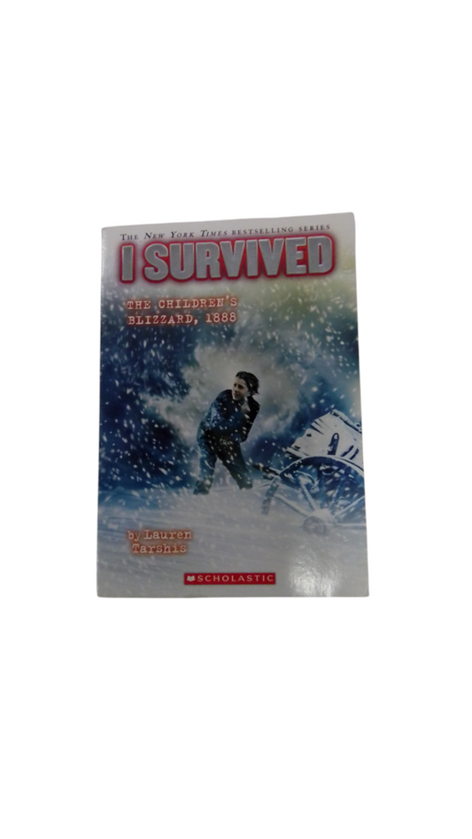I Survived Blizzard 1888, Book