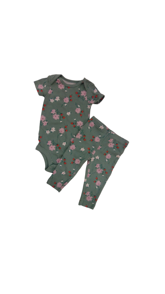 Green Floral 2pc Set, Girl, Size: 3/6m