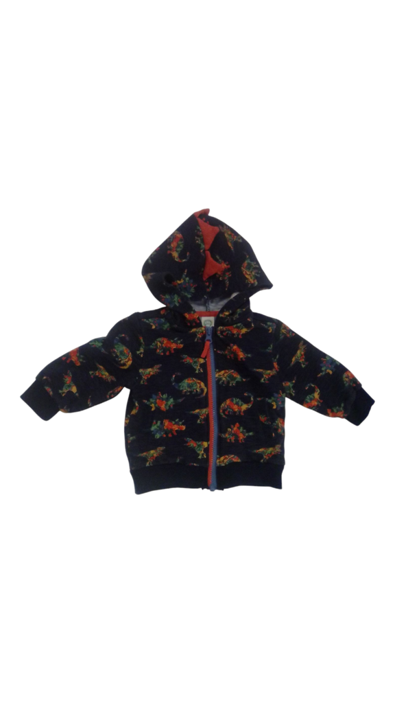 Zip-Up: Rainbow Dinosaurs, Boy, Size: 12m