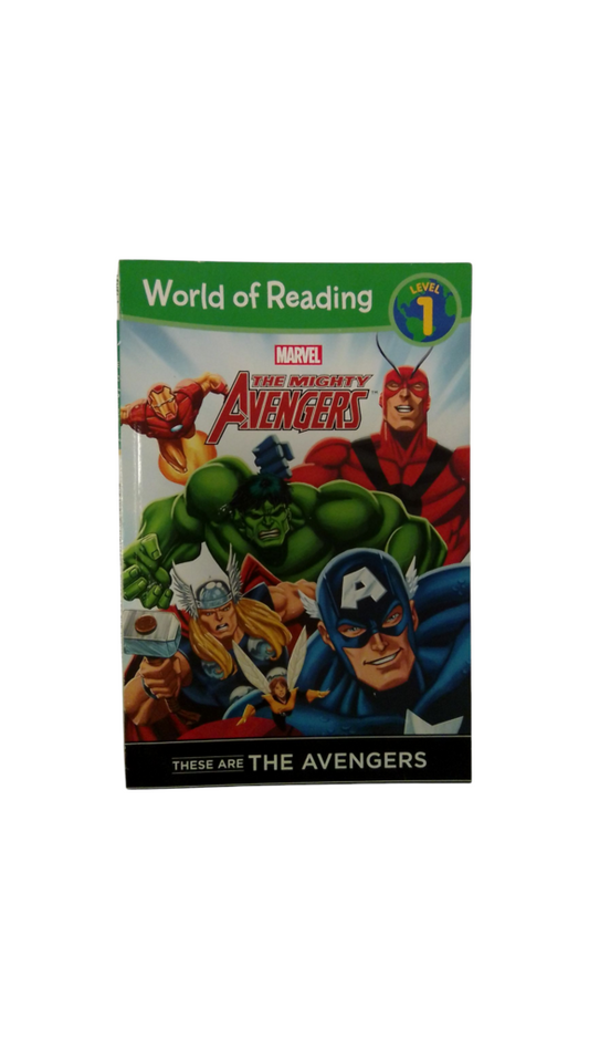 The Mighty Avengers, Book