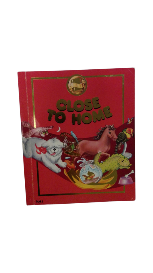 Close To Home, Book