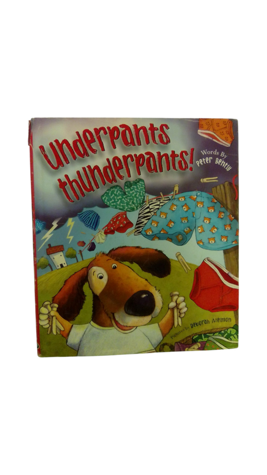 Underpants Thunderpants, Book