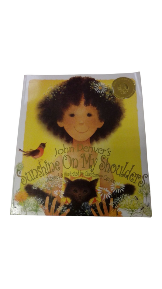 Sunshine On My Shoulder, Book