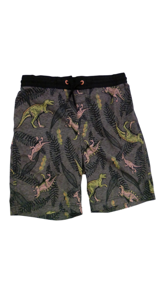 Swim Trunks: Gray Dinos, Boy, Size: 10/12