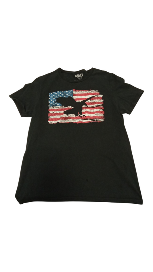 Shirt: Flag/Eagle, Mens, Size: M