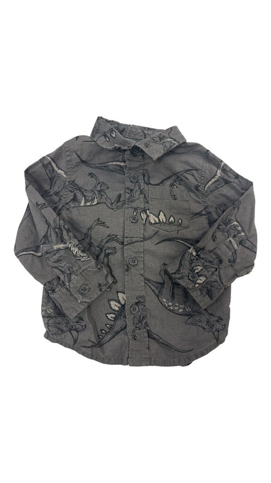 Long Sleeve Shirt: Dinosa, Boy, Size: 12m