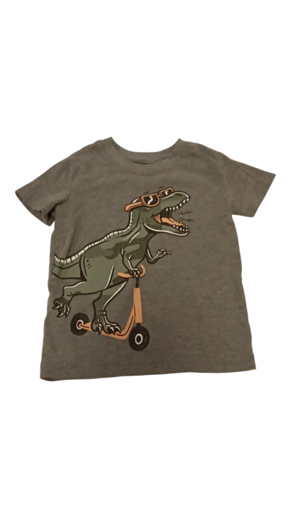 Shirt: Dinosaur, Boy, Size: 2t