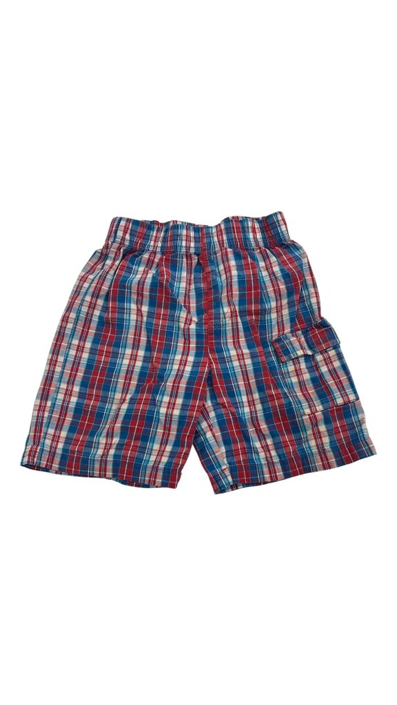 Plaid Shorts