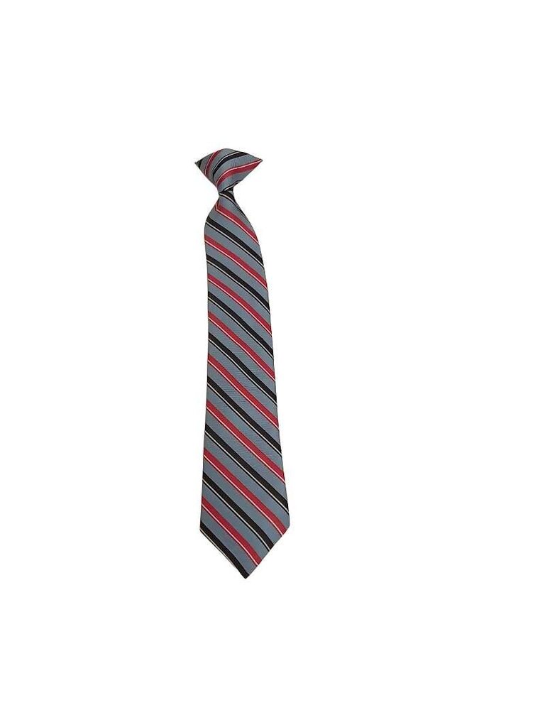 Clip on Tie