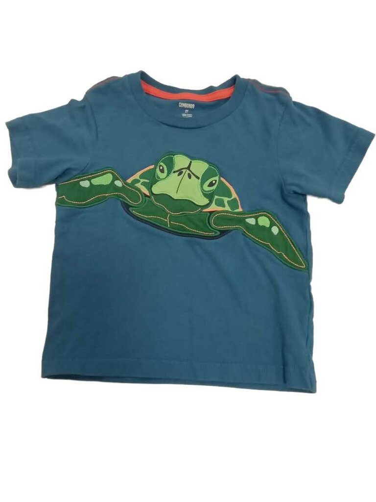 turtle shirt