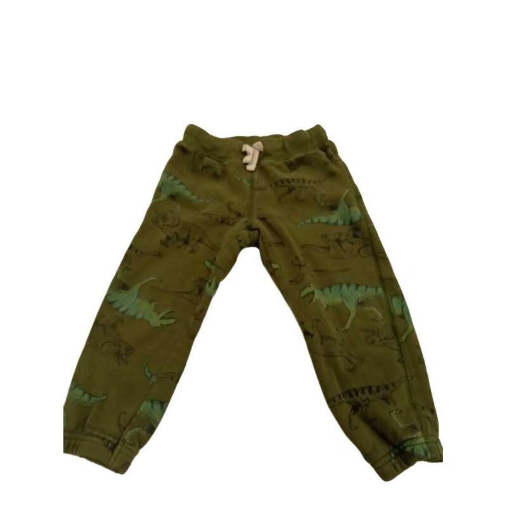 Dinosaur Sweats