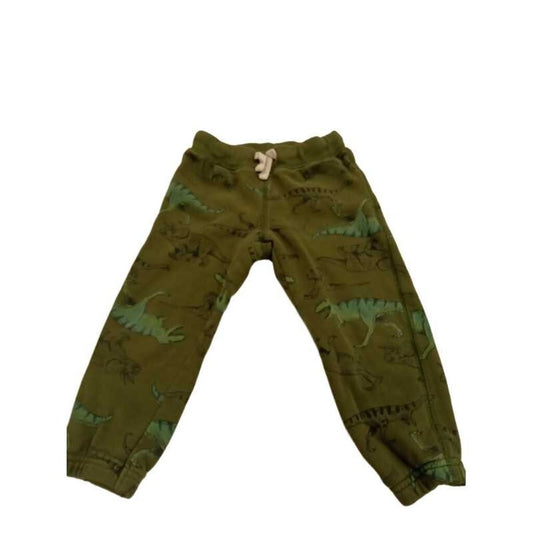 Dinosaur Sweats