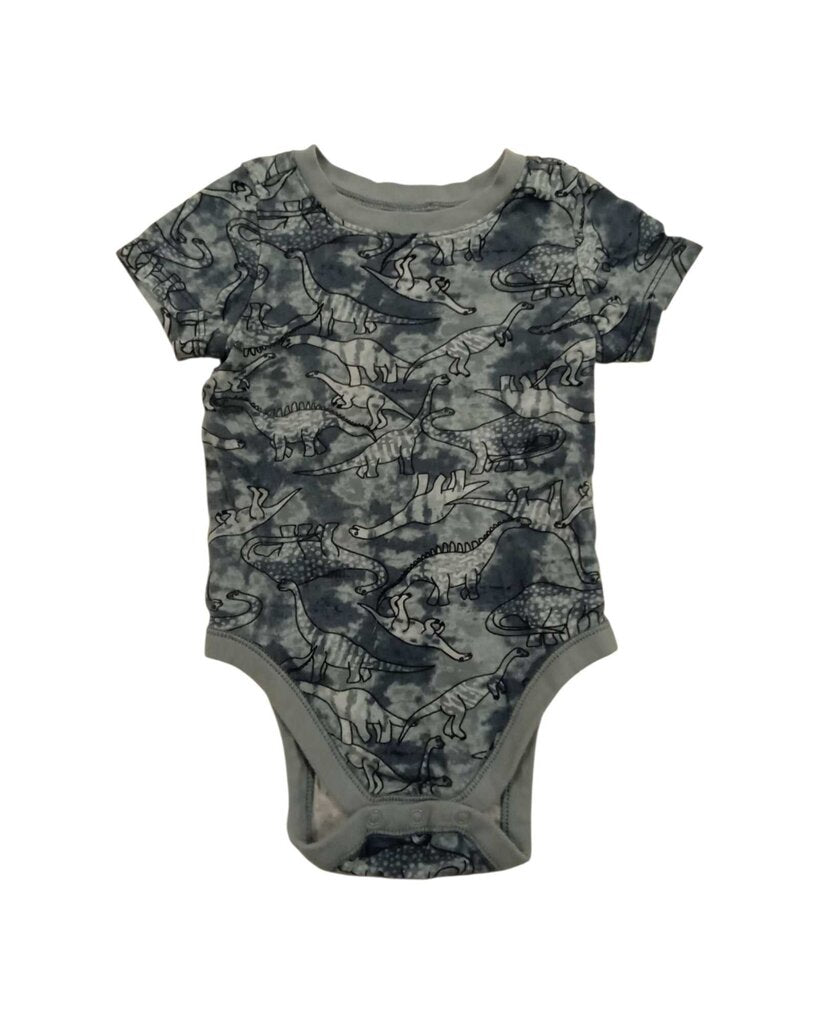 Onesie: Dinosaurs Tie Dye