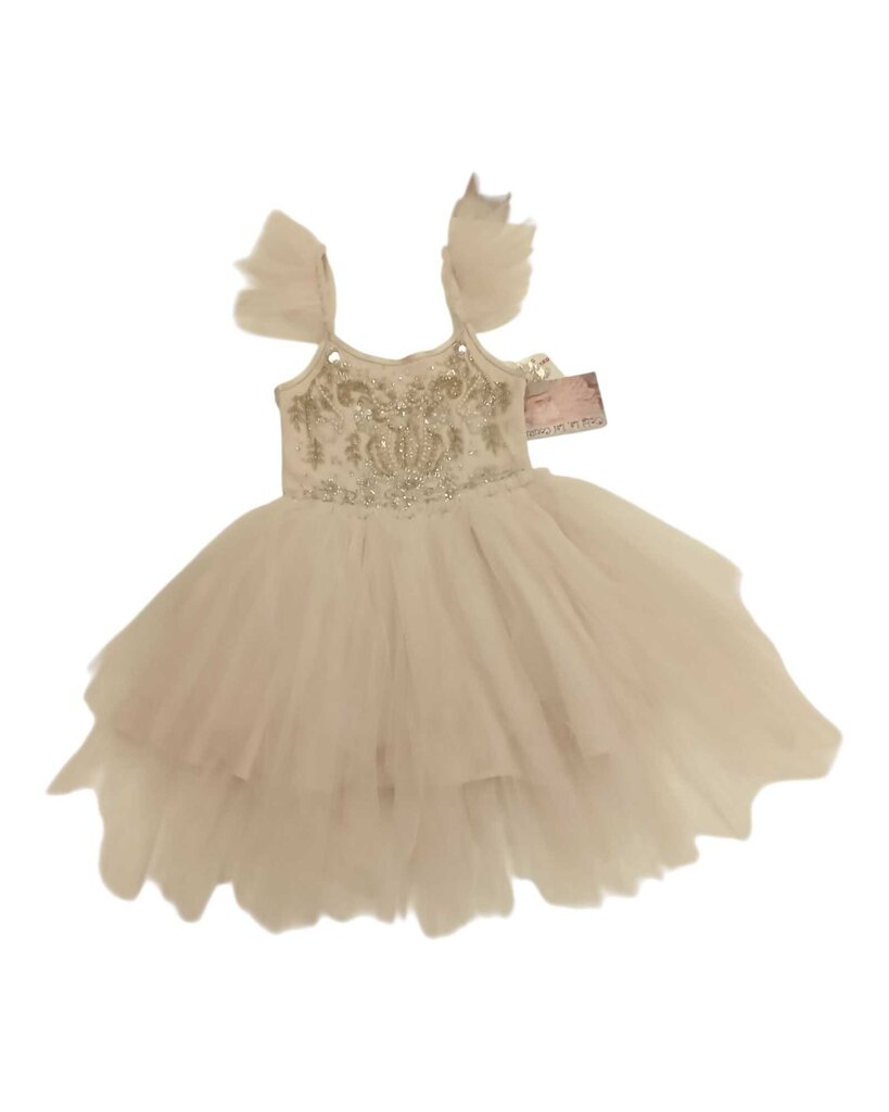 Sugar Plum Fairy Dress/Costume