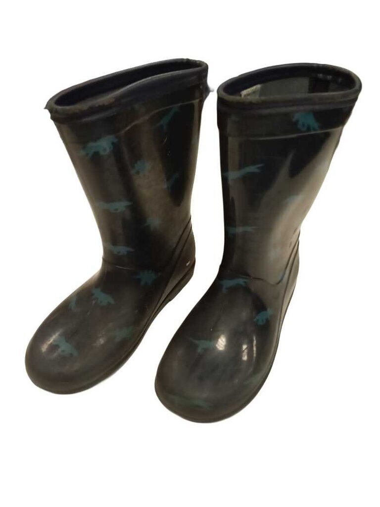 dinosaur rain boots