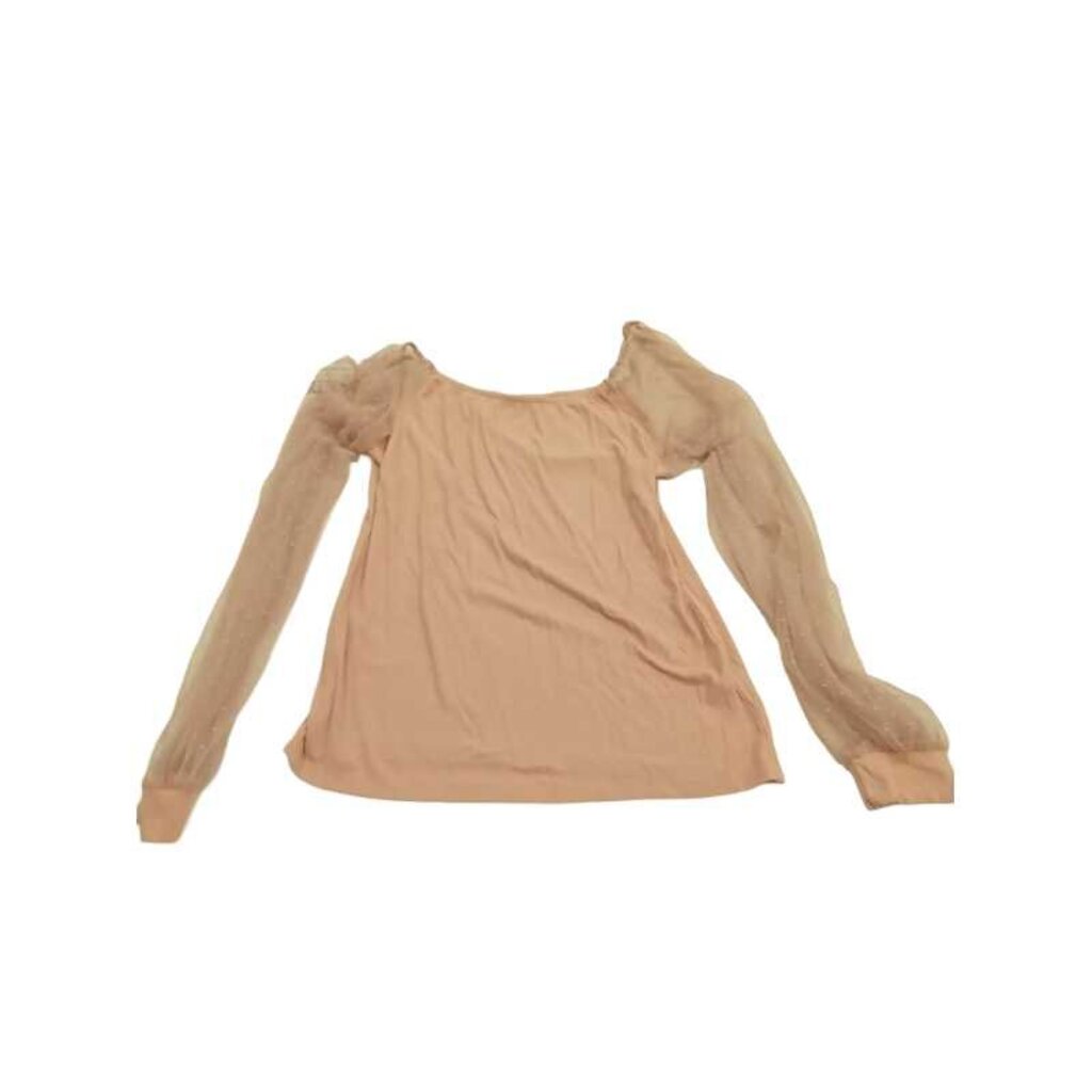 Sheer Long Sleeves Shirt