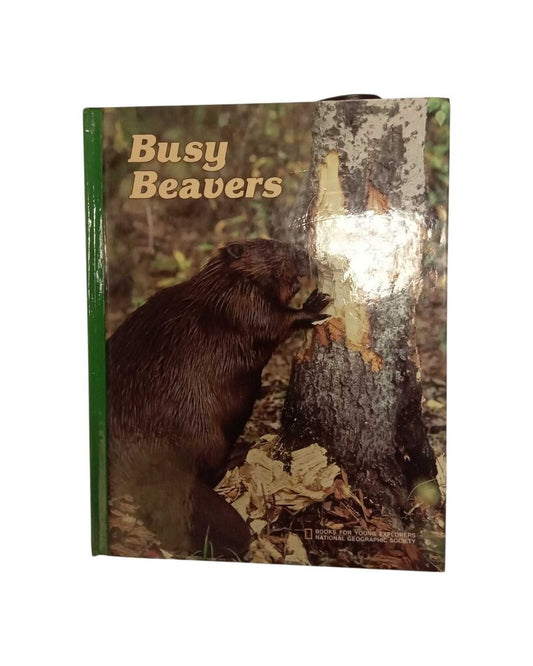 Busy Beavers