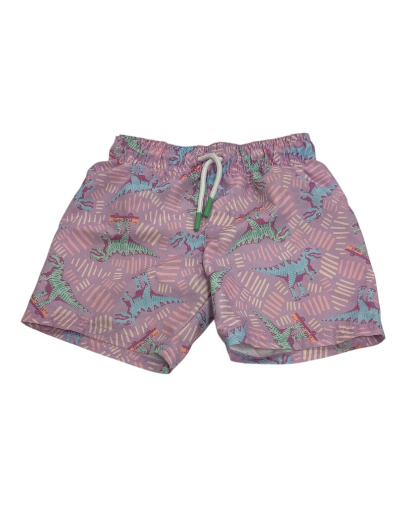 Dinosaur Swim Shorts