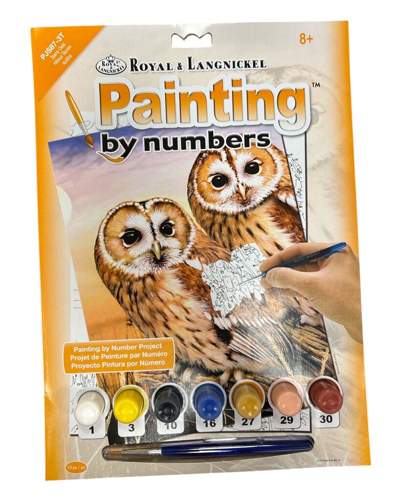 Painting by Number - Owls